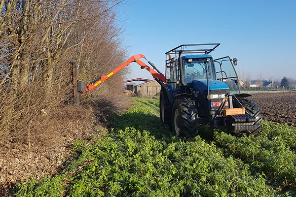 Broyage et mise en ordre de terrain